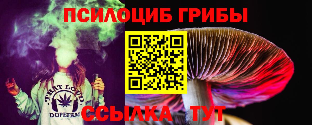 Псилоцибиновые грибы мицелий  Вход с VPN  Мурманск 